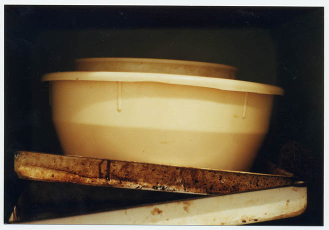 tomtlalim-photojpg06